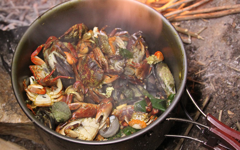 荒岛求生wilson 2日